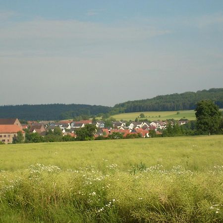 Pensjonat Winzerhof Spengler Kulsheim Zewnętrze zdjęcie
