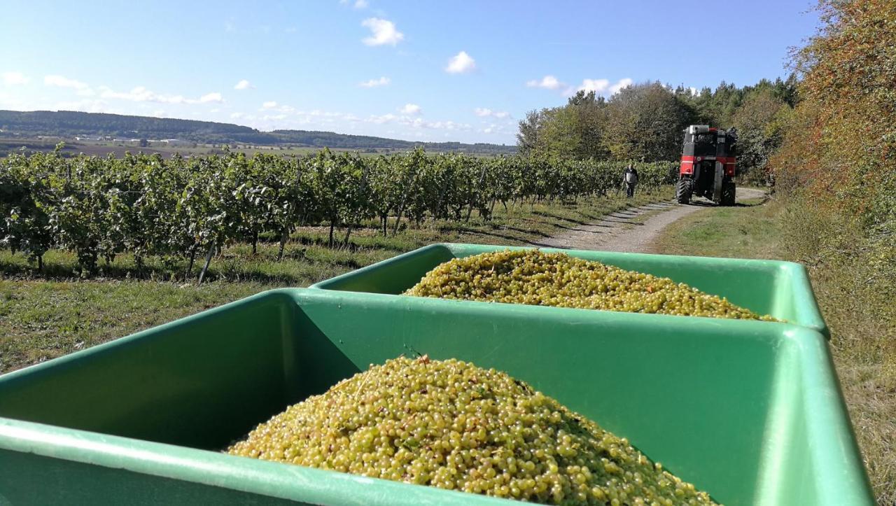 Pensjonat Winzerhof Spengler Kulsheim Zewnętrze zdjęcie
